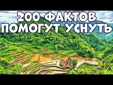 Видео: 200 УДИВИТЕЛЬНЫХ ФАКТОВ, КОТОРЫЕ ПОМОГУТ УСНУТЬ