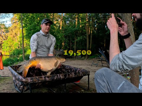 Видео: Ловимо КОРОПА на ФЛЕТ. Або як спіймати 100+кг риби за добу.