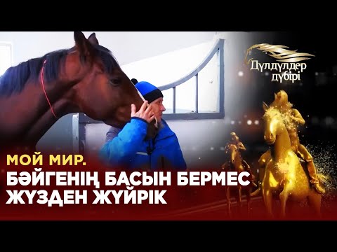 Видео: Мой мир. Бәйгенің басын бермес жүзден жүйрік. «Дүлдүлдер дүбірі»