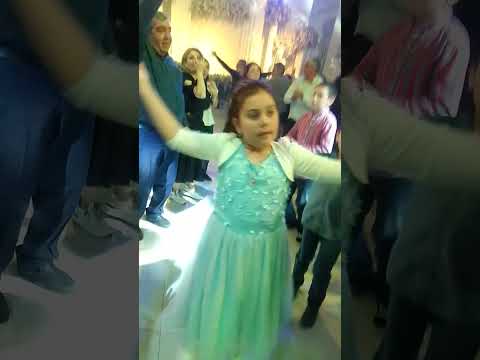 Видео: 4 ноября 2025 г.