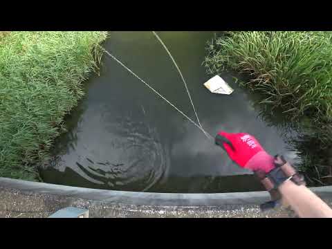 Видео: Охота с рогаткой в жаркий день