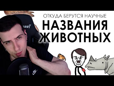 Видео: Откуда берутся научные названия животных | Реакция На Академия Сэма Онеллы