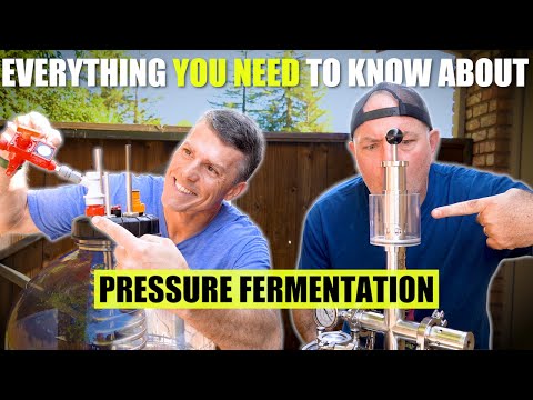 Видео: Все, что ВАМ НУЖНО знать о брожении под давлением! | MoreBeer!