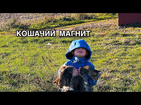 Видео: Кого отправляют на рентген? Продолжаем делать полы. Гуляем по деревне.