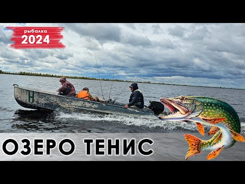 Видео: Рыбалка на спиннинг на озере Тенис Новосибирская область 2024.