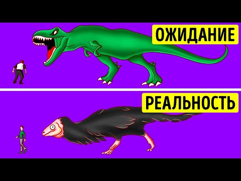 Видео: Как на самом деле выглядели динозавры и другие интересные факты для самых умных