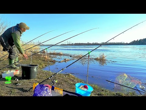 Видео: Фидер в Апреле на Реке. Лещи ,Подлещики и другая рыба по ещё холодной воде.