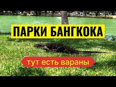 Видео: Лучшие парки Бангкока: Люмпини и Чатучак