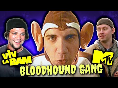 Видео: Удивительная история группы BLOODHOUND GANG (их точно отменят!) #music #rock #comedy