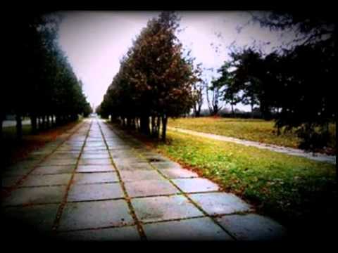 Видео: осень