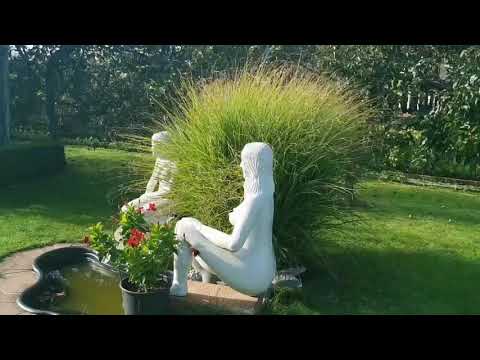 Видео: Самая красивая дача в городе Вайнхейм, Германия