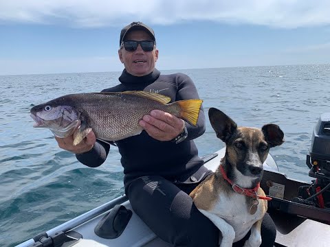 Видео: Почему многие не видят РЫБУ! Подводная охота на Тарханкуте!