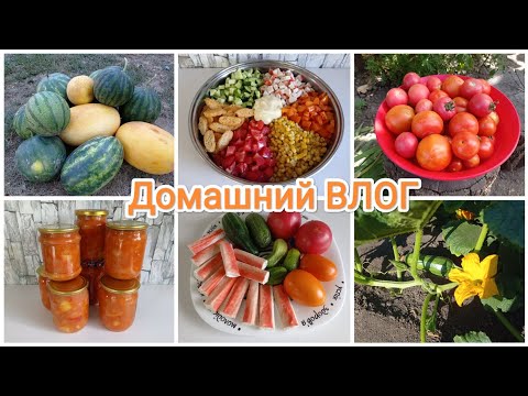 Видео: Домашний ВЛОГ. Медовый спас. Собираем урожай. Вкусный салат 🥗