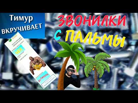 Видео: ЗВОНИЛКИ с пальмы получают Чек от Тимура