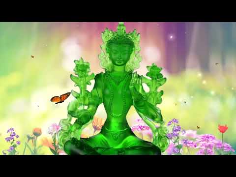 Видео: Быстрая помощь во всех делах от Зелёной Тары!!!