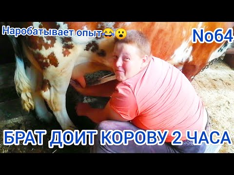 Видео: ДОЯР ВЫШЕГО РАЗРЯДА🤣