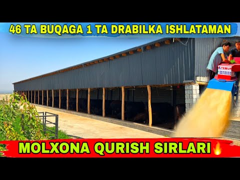 Видео: MOLXONA QURISH SIRLARI AL TEMUR DRABILKA N1🔥28 сентября 2025 г.