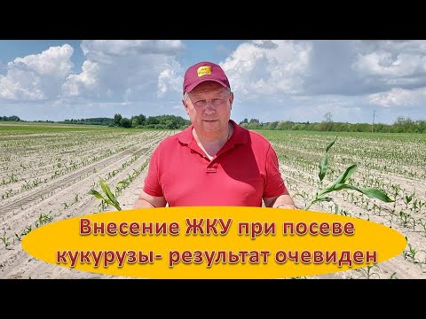 Видео: Внесение жидких комплексных удобрений при посеве кукурузы - результат очевиден.