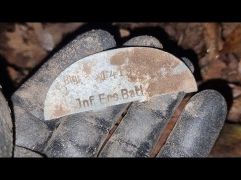 Видео: Разведка в лесу...