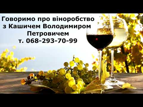 Видео: #88 Говоримо про віноробство з Кашичем Володимиром Петровичем (12.06.2022р.)