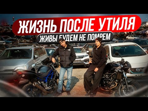 Видео: ИГРА ПО НОВЫМ ПРАВИЛАМ, ЖИЗНЬ ПОСЛЕ УТИЛЬСБОРА!