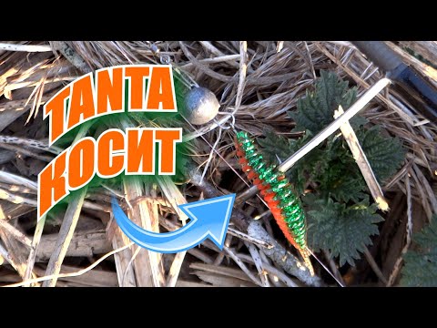 Видео: МИКРОДЖИГ В МАЕ 🎣 ЭКСПРЕСС РЫБАЛКА ПОСЛЕ РАБОЧЕГО ДНЯ 🎣 MIKROJIGIGA PÜÜK JÕEL