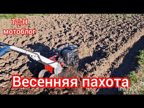 Видео: Мотоблок(культиватор) Sterwins, мкм-1р, Мобил К. Подготовка почвы для овощных культур.