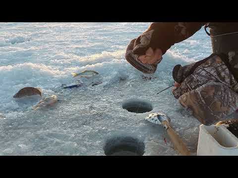 Видео: РЫБАЛКА НА ТЕЛЬМАНА 2 ЯНВАРЯ! Ловля на мармышку,даже карась соблазнился!