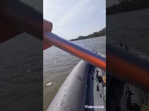 Видео: Сплав Тбилисская - Усть-Лабинск| за 2 дня 70 км по реке Кубань| Ермак 540|