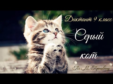 Видео: Диктант по русскому языку с проверкой! 9 класс.  Серый кот #диктант9класс #диктант