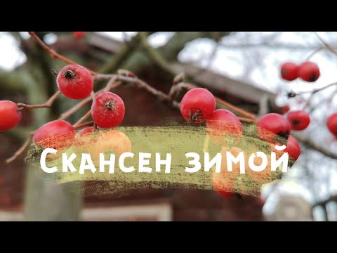 Видео: Скансен зимой. Утренний Стокгольм. 3/24 Адвент-календарь 2019.