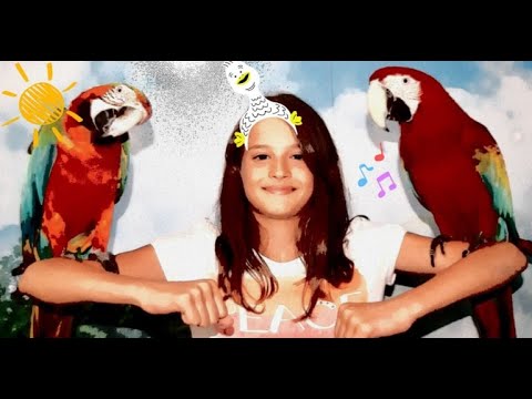 Видео: Папагалите и ДВАМАНАЦИТЕ в Бургас  #parrots #funny #шоуспапагали