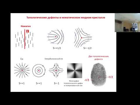 Видео: П.В. Долганов. Хиральность, топологические дефекты и фрустрация в жидкокристаллических фотонных...