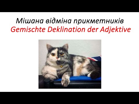 Видео: Мішана відміна прикметників. Gemischte Deklination der Adjektive