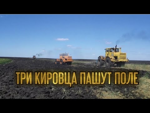 Видео: Началась пахота 2021. ТРИ Кировца пашут поле 600 га.