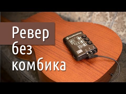 Видео: Обзор ToneWoodAmp – необычный процессор эффектов