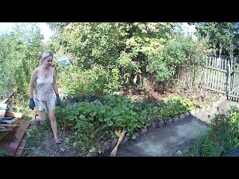 Видео: 8. Заброшенная дача. Уборка территории.
