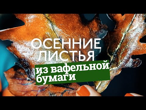 Видео: Как сделать реалистичные осенние листья из вафельной бумаги