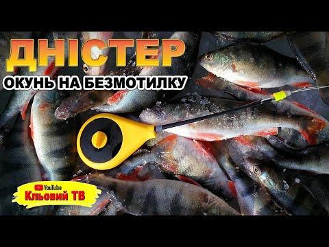 Видео: Дністер.  Окунь на безмотилку.