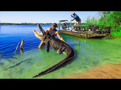 Видео: Мы поймали САМОГО БОЛЬШОГО аллигатора в РЕКЕ!! (Мой первый аллигатор)