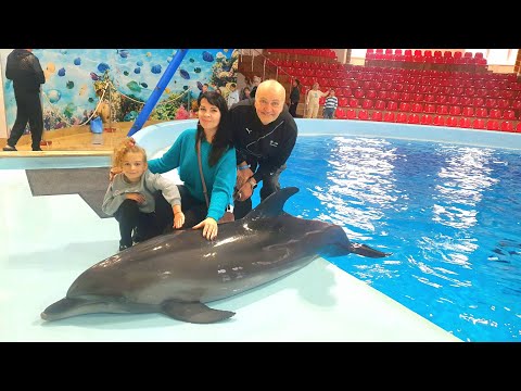 Видео: ДЕЛЬФИНАРИЙ ТРУСКАВЕЦ 🧡 НЕИМОВЕРНЫЕ ДЕЛЬФИНЫ КОТИКИ БРАВООО ТРЕНЕРАМ ❤