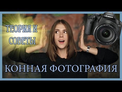 Видео: КОННАЯ ФОТОГРАФИЯ ✨ Теория и советы от фотографа