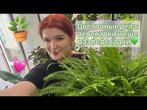 Видео: Цветочные дела: пересаживаем растения💚