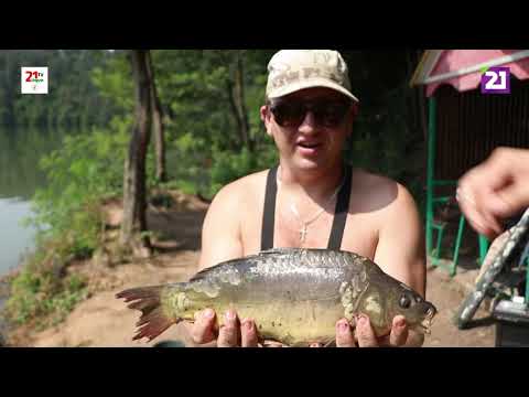 Видео: Карпатське рибалля / Ловля коропа поблизу села Сільце на озері