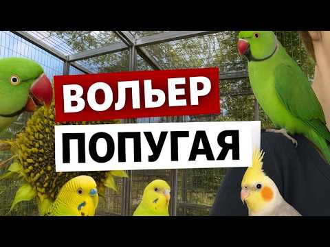 Видео: Вольеры и клетки для попугаев 🦜 Содержание попугаев на улице — советы и ошибки. Уличные вольеры птиц
