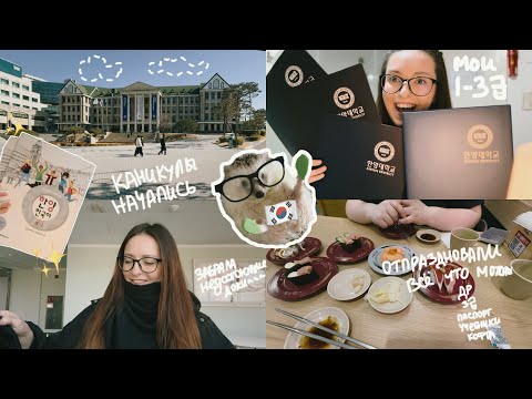 Видео: KOREA VLOG DIARY|мои баллы за весь период/новые учебники 4급/делаю новый загран/покупка|17-18.02.2025