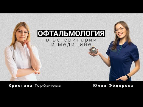 Видео: Офтальмология в ветеринарии и медицине
