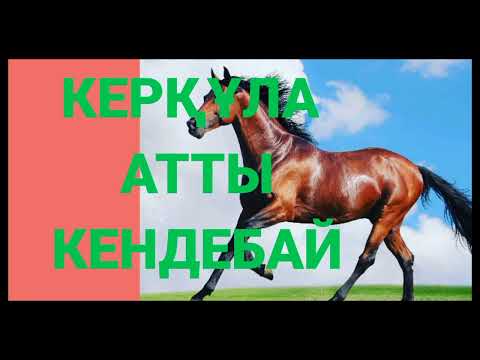 Видео: КЕРҚҰЛА АТТЫ КЕНДЕБАЙ