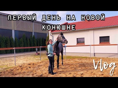 Видео: Первый день на новой КОНЮШНЕ