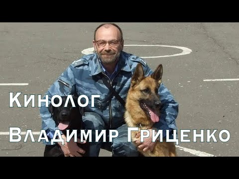 Видео: Кинолог Владимир Гриценко о воспитании, дрессировке, что не так с понятием „рефлекс“? Первая часть